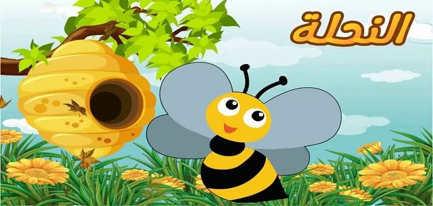 قصة الفراشة والنحلة مسلية جداً للصغار