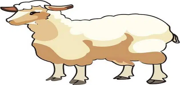 قصة النعجتين