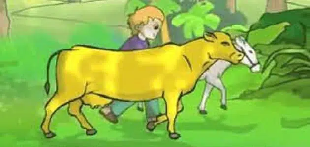 قصة البقرة الصفراء للأطفال