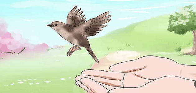 قصص واقعية عن الرحمة