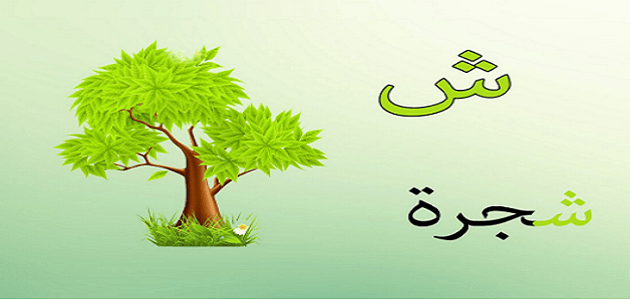 قصة حرف الشين ش للأطفال