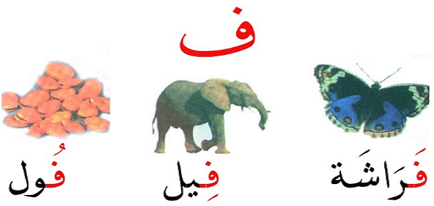 قصة حرف الفاء ف للأطفال